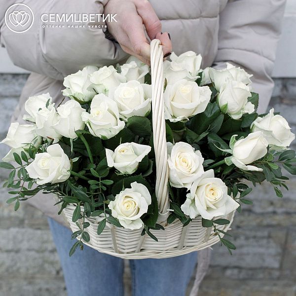 Композиция из 25 белых роз (Россия) с фисташкой в корзине