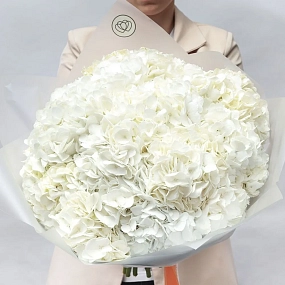 Букет из 15 белых гортензий в прозрачной пленке