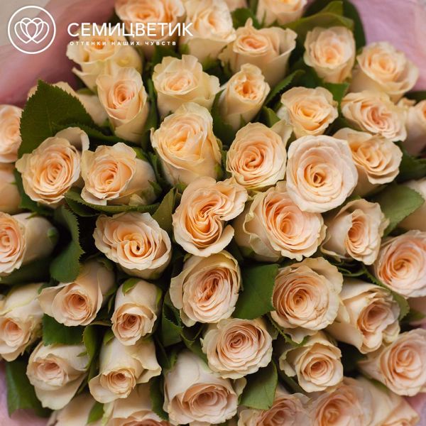 Букет из 51 кремовой розы 30 см (Кения)